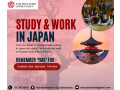 thinking-about-getting-student-visa-and-working-ssw-visa-in-japan-what-questions-do-you-have-small-0