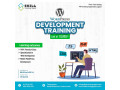 ready-to-start-join-our-wordpress-development-course-at-skill-training-nepal-small-0