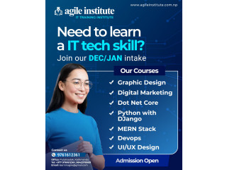 Learn from industry professionals in Agile Institute