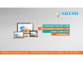 salyani-technologies-pvt-ltd-small-0