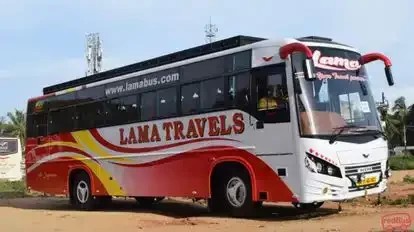 lama-travels-big-0