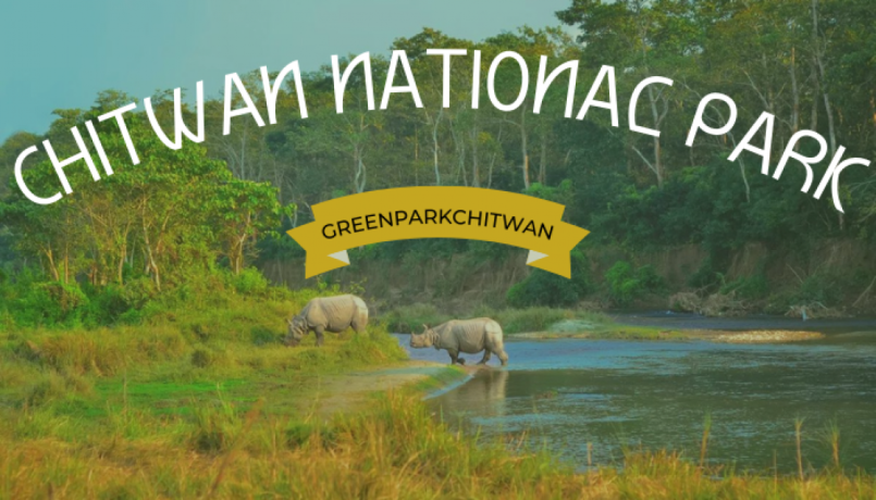 chitwan-national-park-and-its-wildlife-including-the-one-horned-rhinoceros-big-1