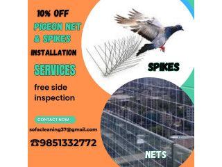Pigeon Net & Bird Spikes Installation Service 9851332772